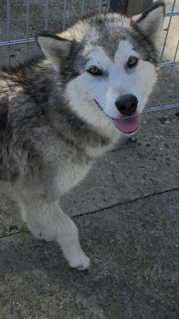 Take me to your heart Des Terres d'haïda